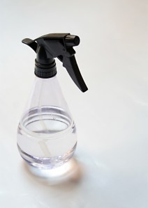 spray bottle-1