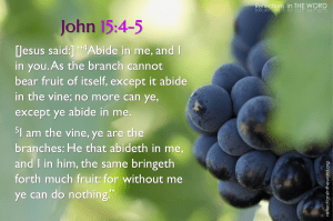 John 15-4-5