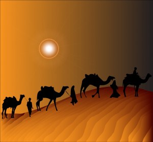 camel-train-163727
