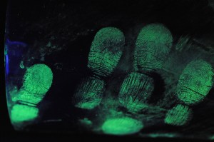 fingerprints-3